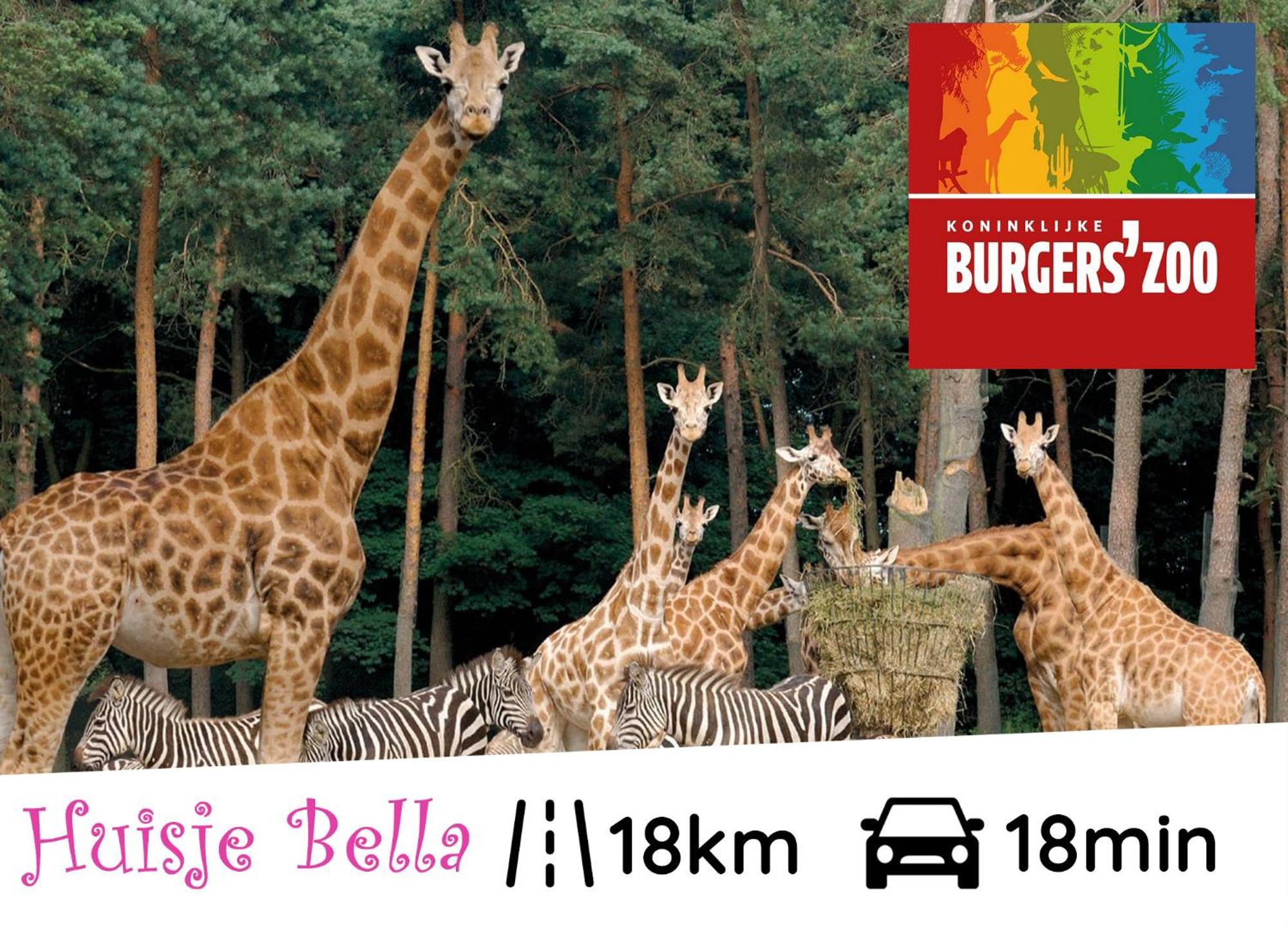 Chalet Huisje Bella Op De Veluwe Max 2 Volwassene Beekbergen Eksteriør billede