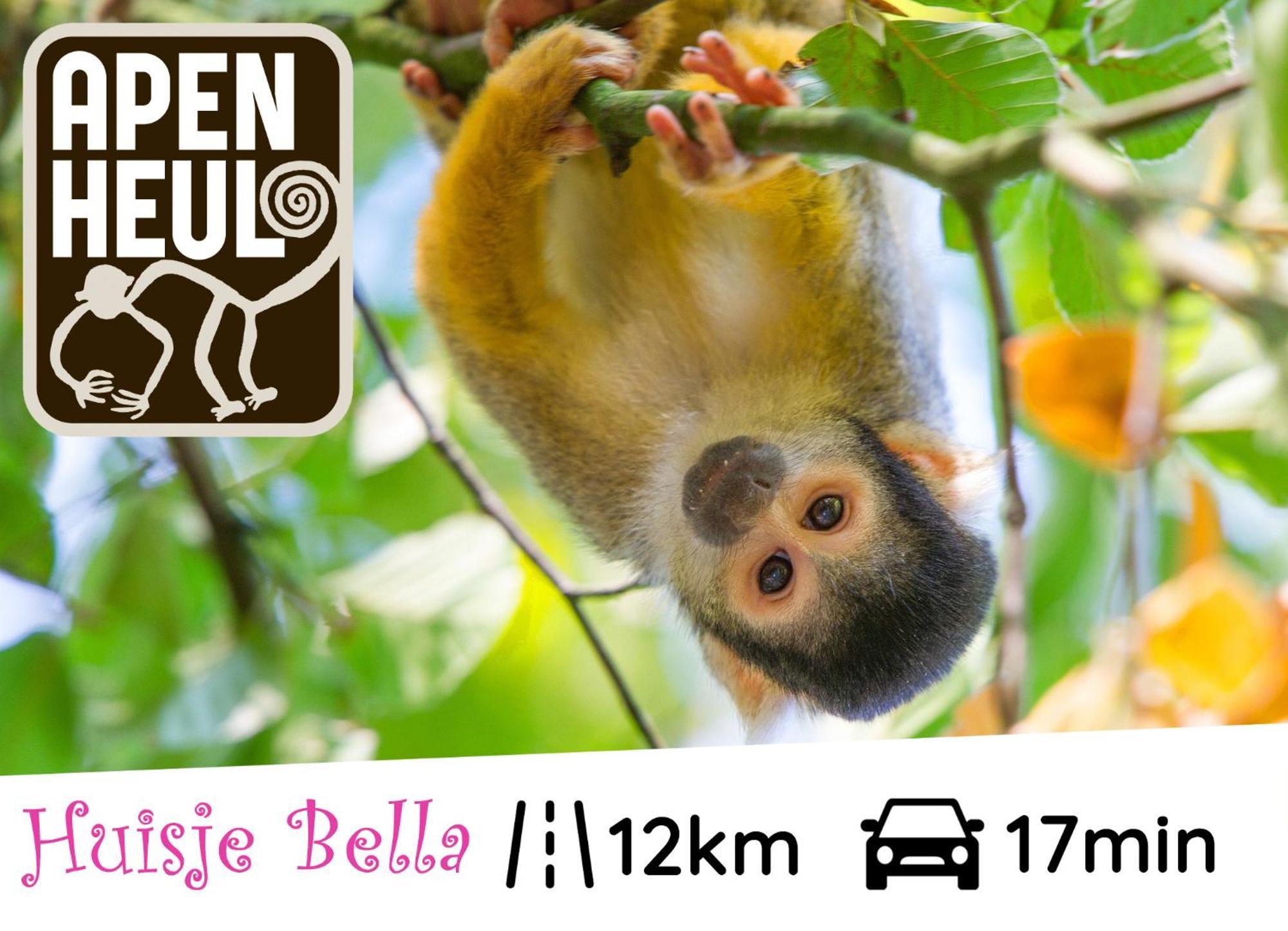 Chalet Huisje Bella Op De Veluwe Max 2 Volwassene Beekbergen Eksteriør billede